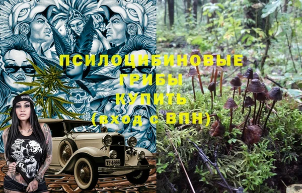гидропоника Краснослободск