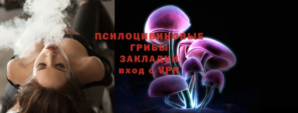гидра Кулебаки