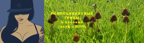 гидра Кулебаки
